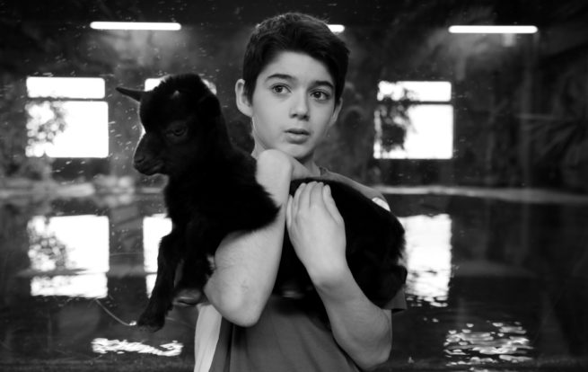 STRANGERS AND FRIENDS